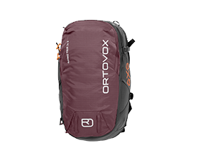 AVALANCHE BACKPACK