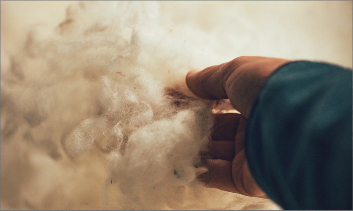 ORTOVOX SWISSWOOL_FranzWalter Body Part, Finger, Hand, Person, Baby, Body Part, Finger, Hand, Person, Baby