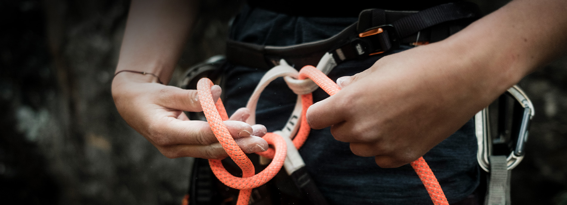 251126_Protact_Langlebigkeit_Commitment_Desktop_1900x688_CWI