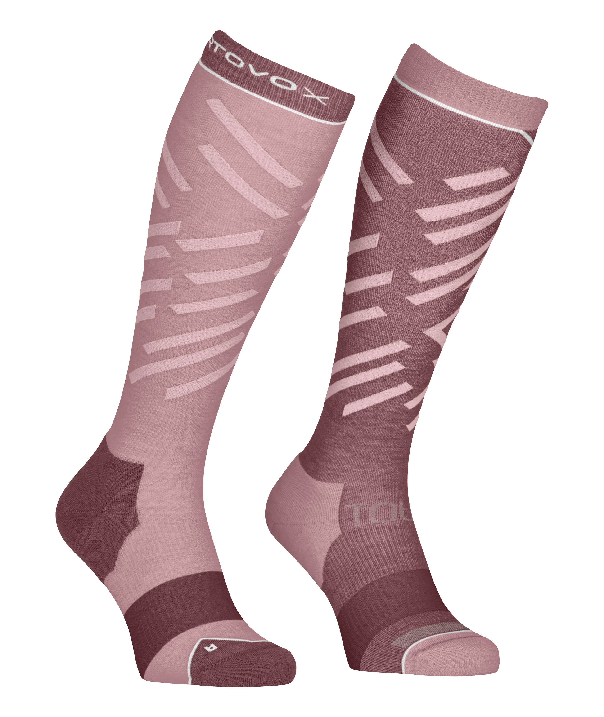 dusk rose