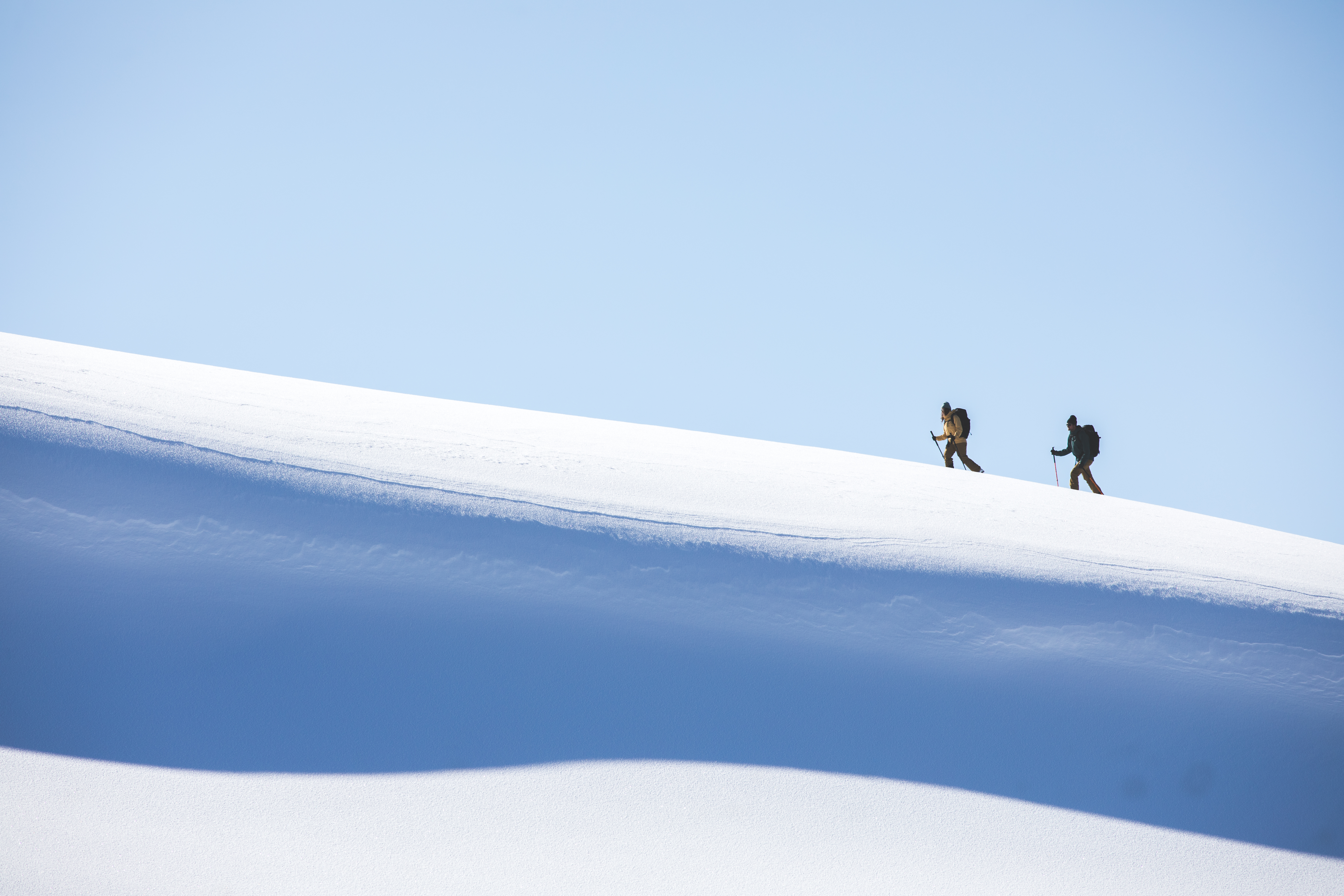 RyanCollins_Winter2024-17