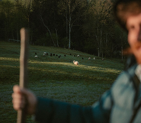 470_INSULATION-Schfer_WS2526_Lenggries_ChristofWolf_HiRes Field, Nature, Pasture, Person, Grassland