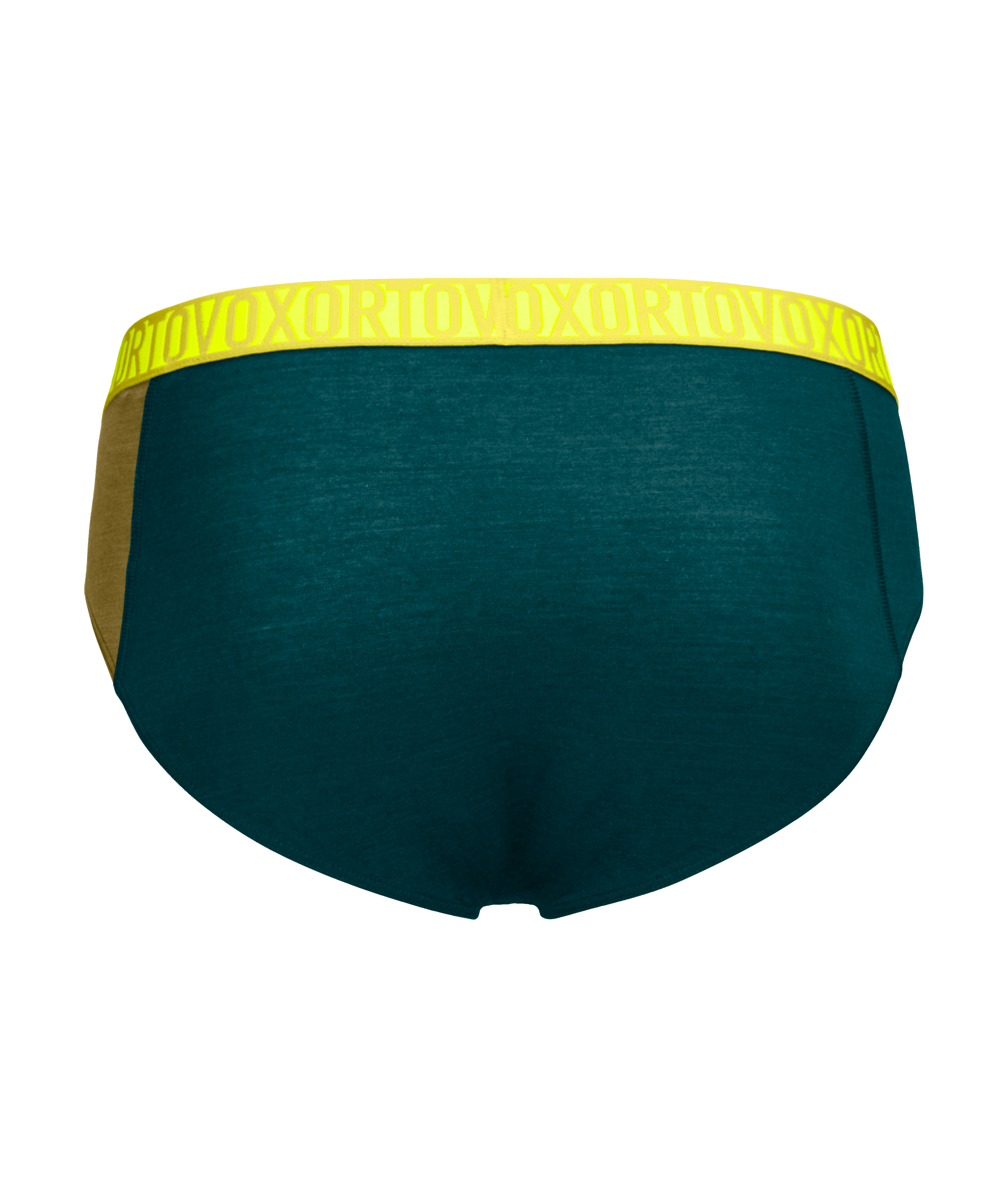 Clothing, Underwear, Lingerie, Clothing, Underwear, Lingerie, men's underwear, briefs, teal, elastic waistband, no fly