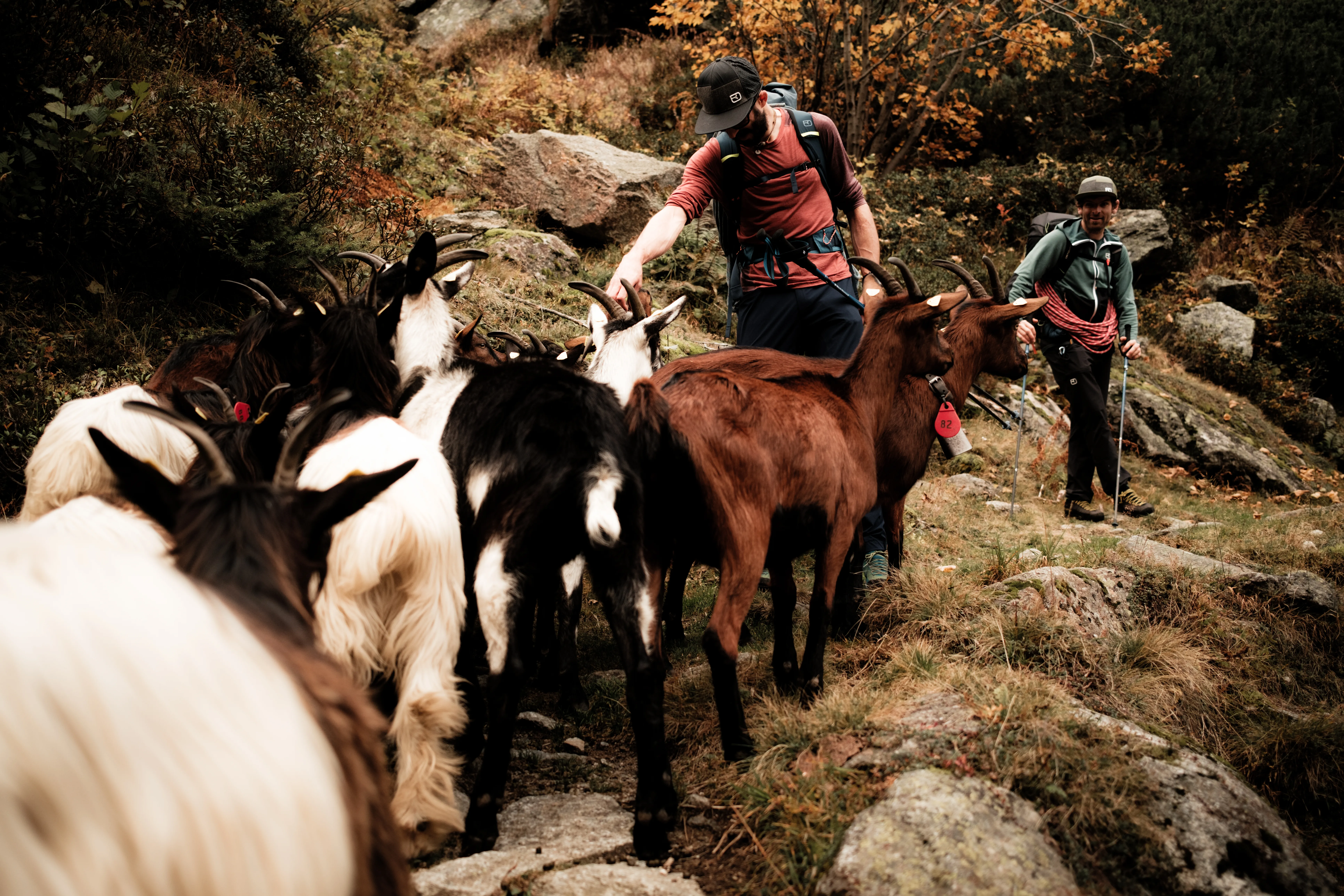 DSF9061_Athlete-Climbing_Nacho und Mo Salbit_SS25_MaxDraeger_HiRes
