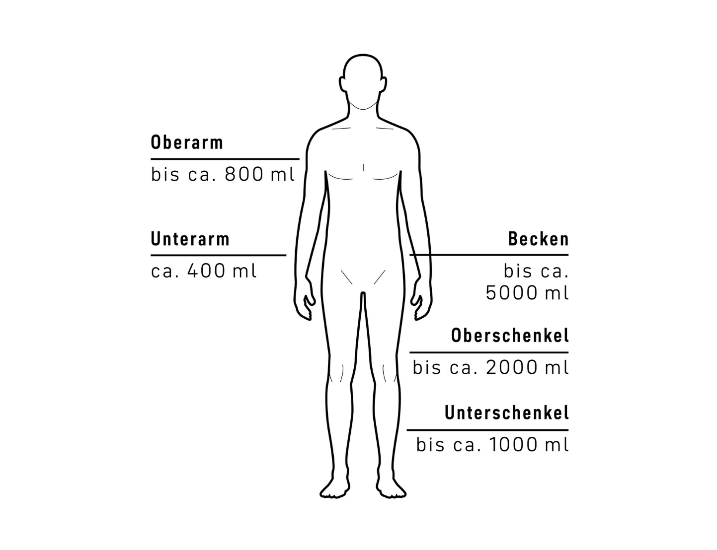 anatomy diagram, human silhouette, measurement chart, body parts, labels, human, diagram, anatomy, instructional, outline