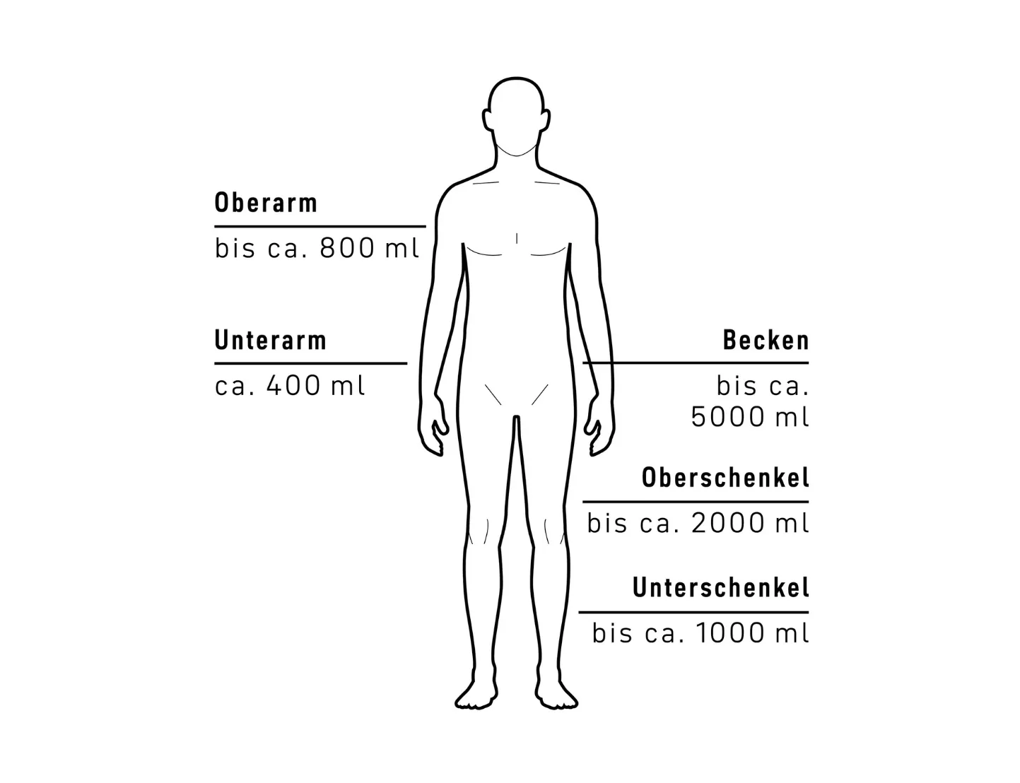 anatomy diagram, human silhouette, measurement chart, body parts, labels, human, diagram, anatomy, instructional, outline