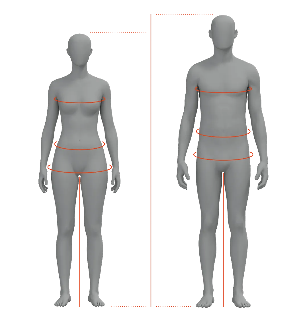Plot, Measurements, Adult, Man, Person