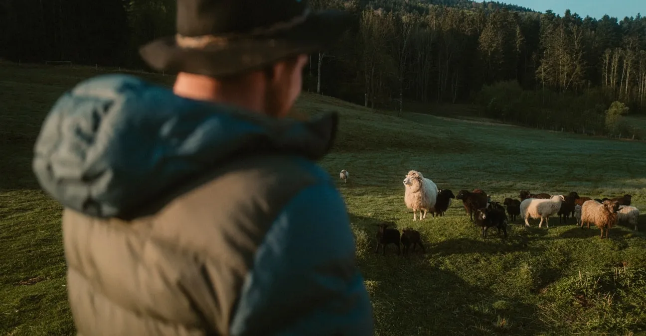 Field, Pasture, Grassland, Ranch, Person