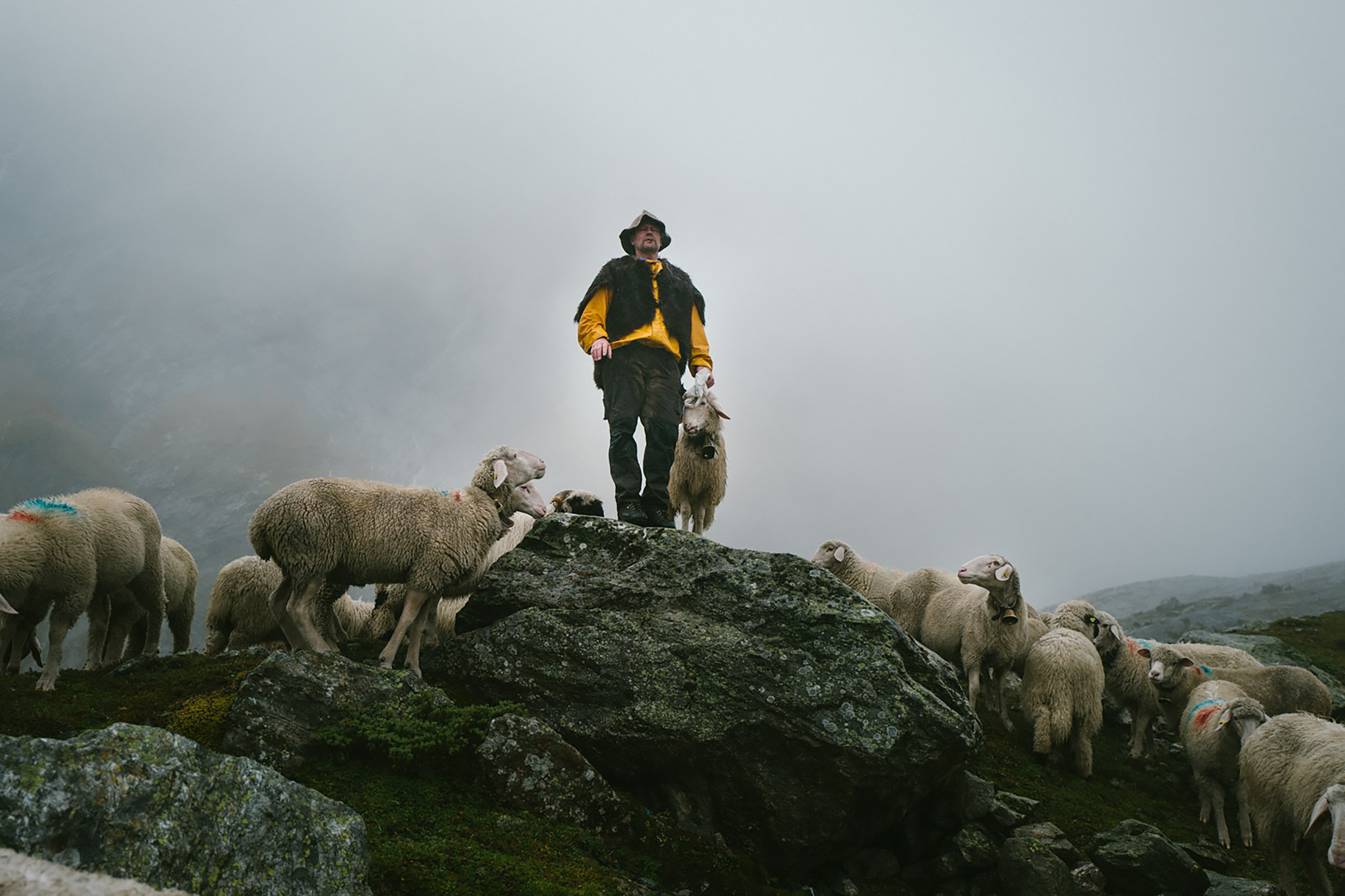 ORTOVOX_SWISSWOOL_WS2324_BEECH_L1060208 Adult, Male, Man, Person, Sheep, Adult, Male, Man, Person, Sheep, Adult, Male, Man, Person, Sheep