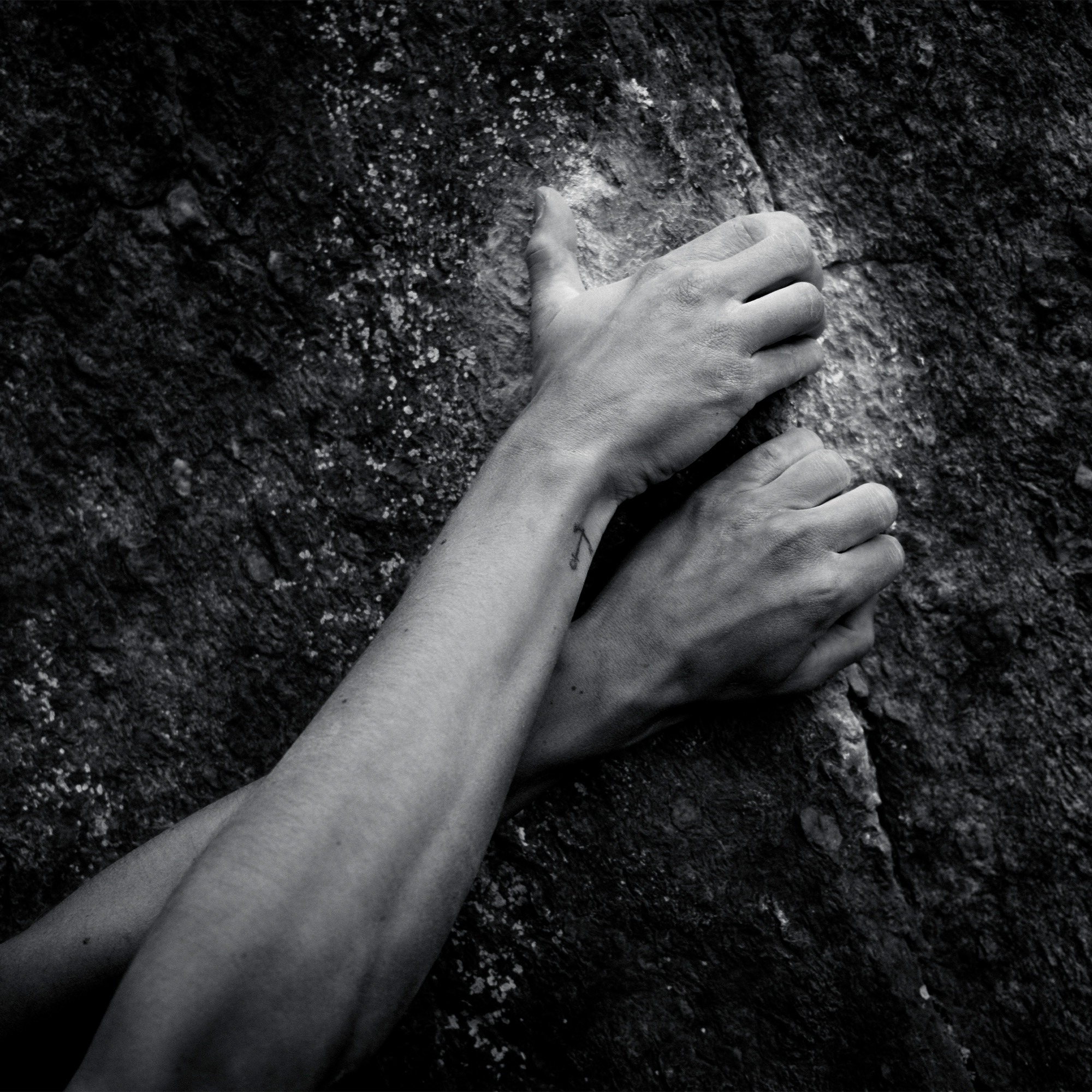 251125_Protact_Lieferkette_Lieferanten_Kodex_2000x2000_CWI Body Part, Finger, Hand, Person