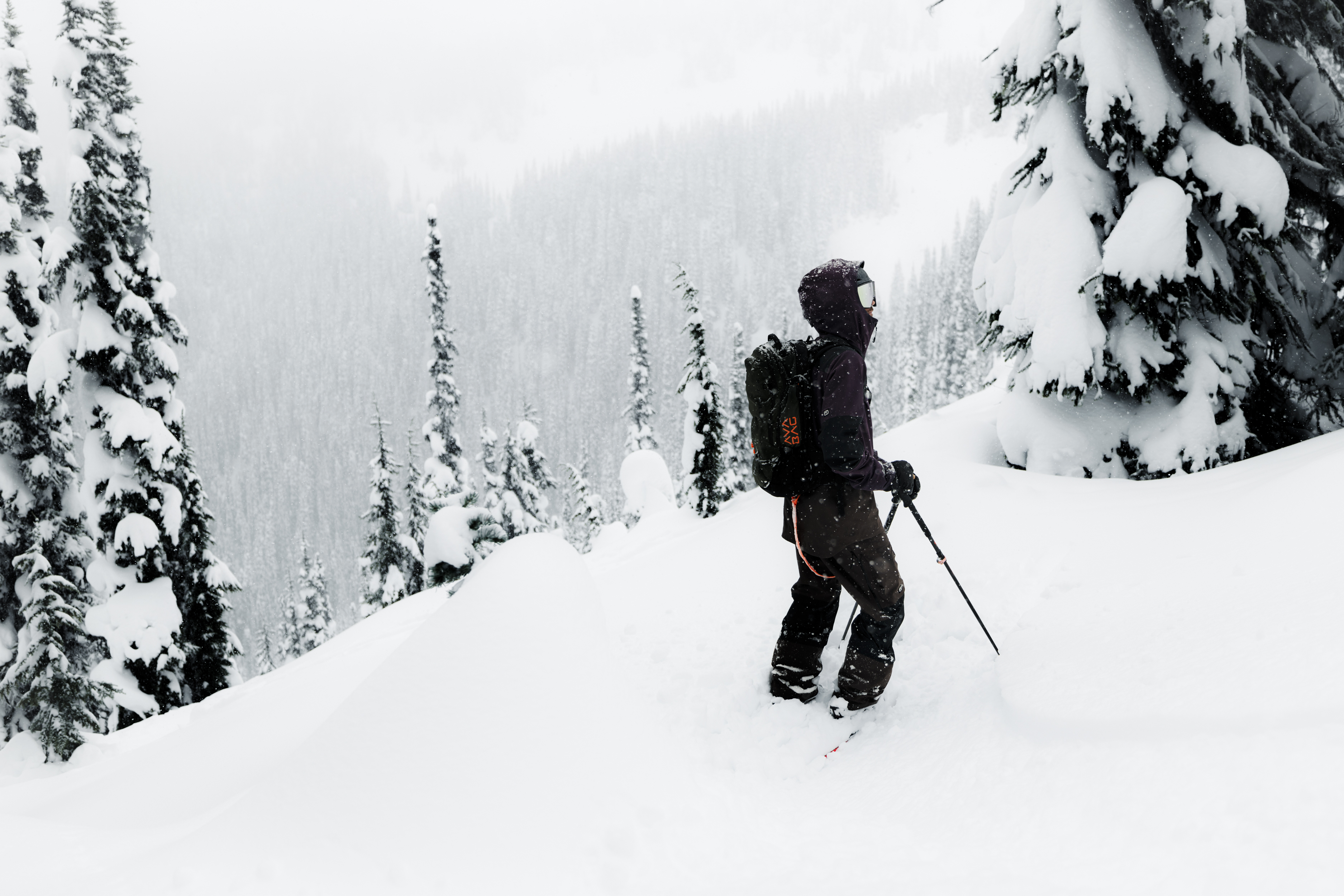 N5A8068_FREERIDE-RAVINE_WS2526_BC_MaxDraeger_MedRes (1) Glove, Tree, Nature, Outdoors, Piste