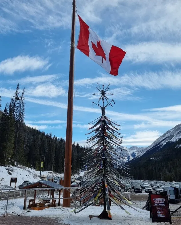 Flag, Canada Flag
