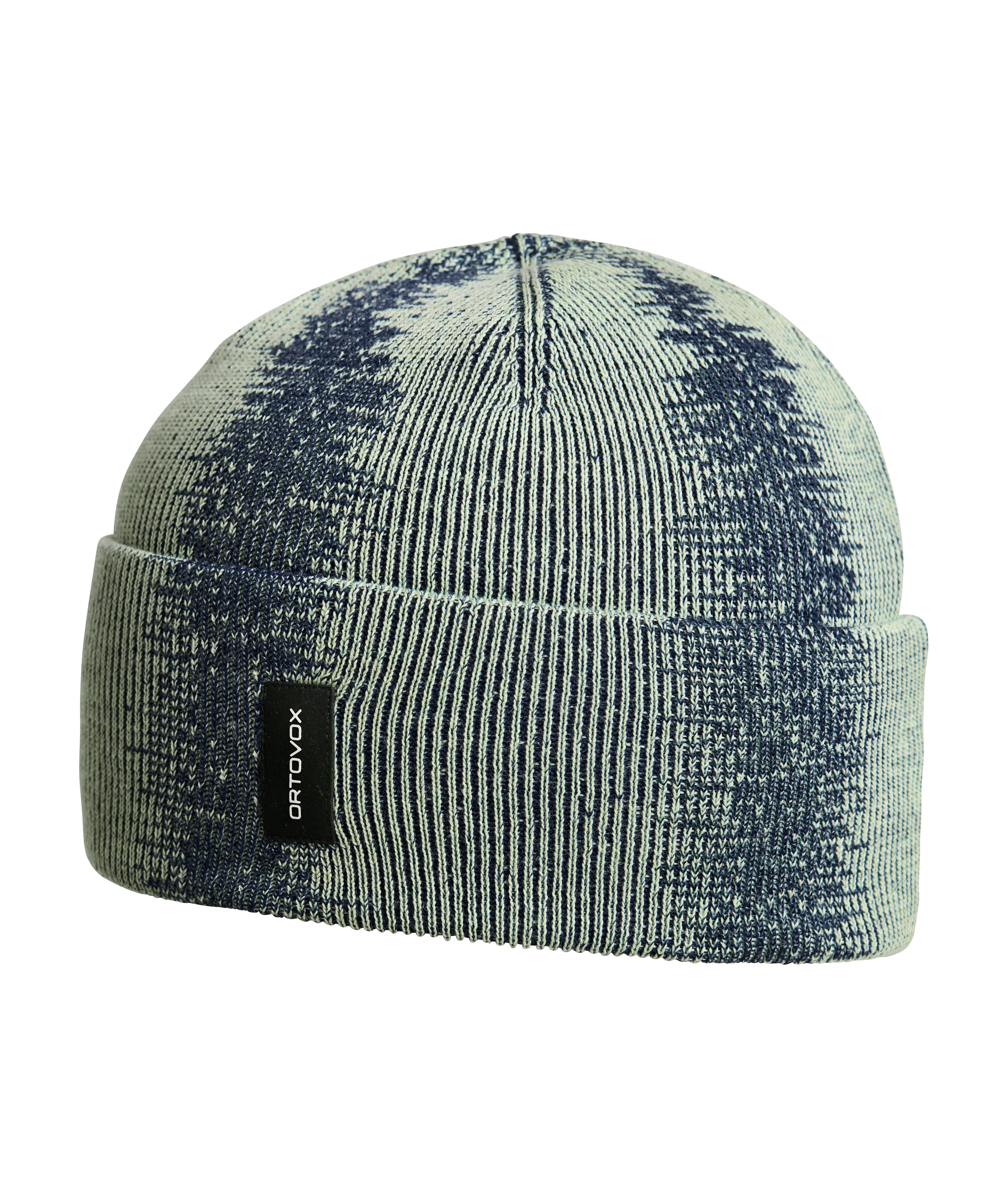 NICHOLSON RIB BEANIE