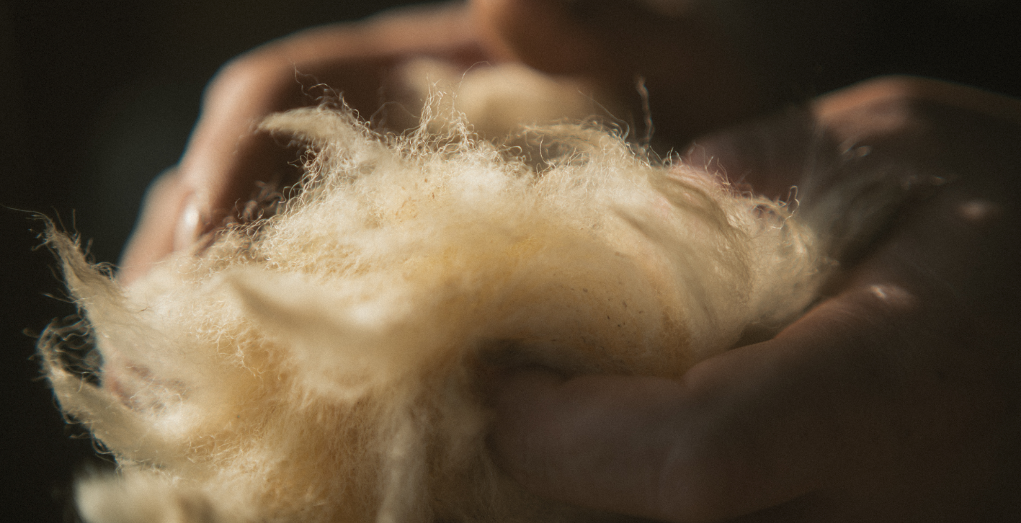 Body Part, Finger, Hand, Person, Wool