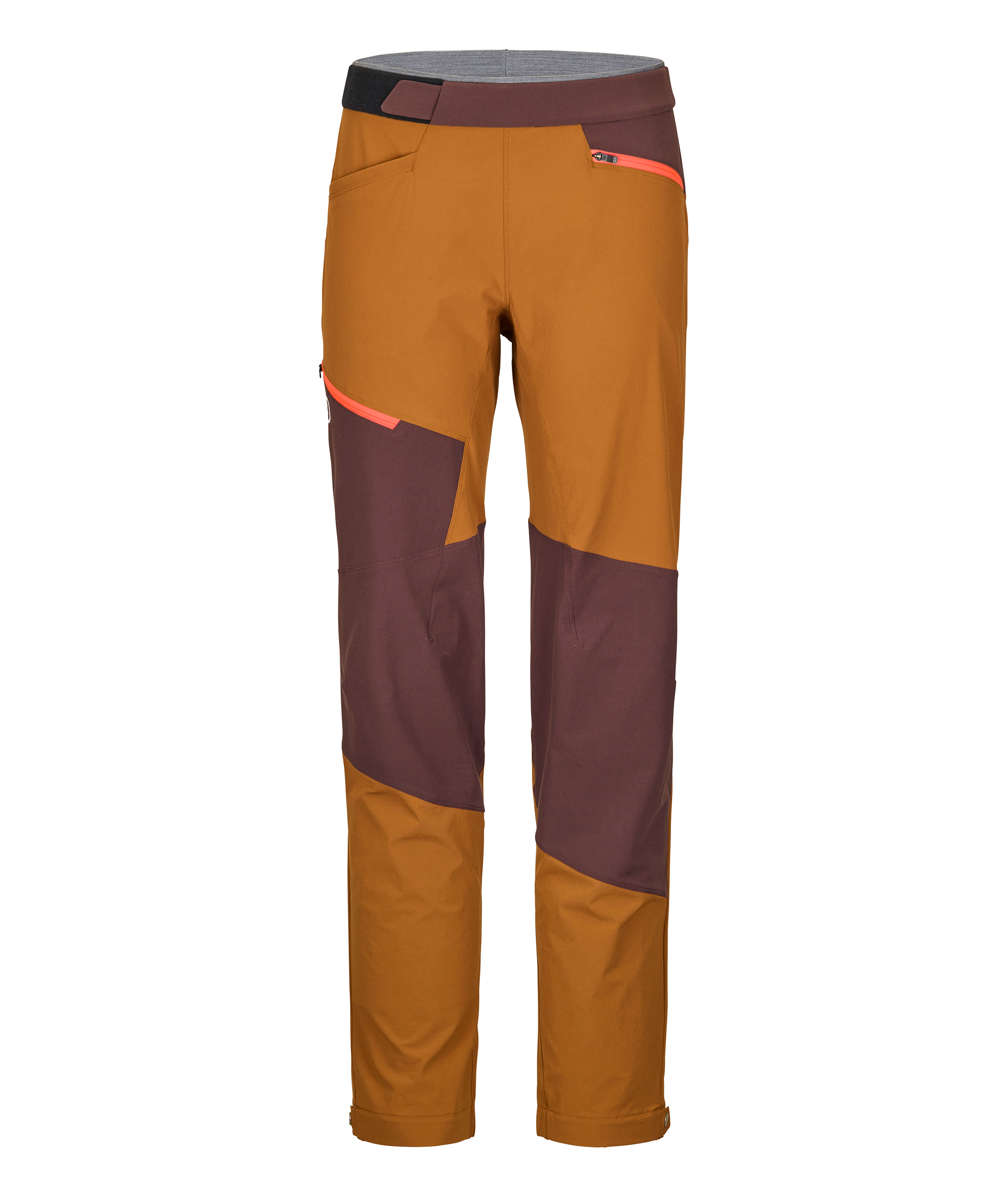 bristle brown