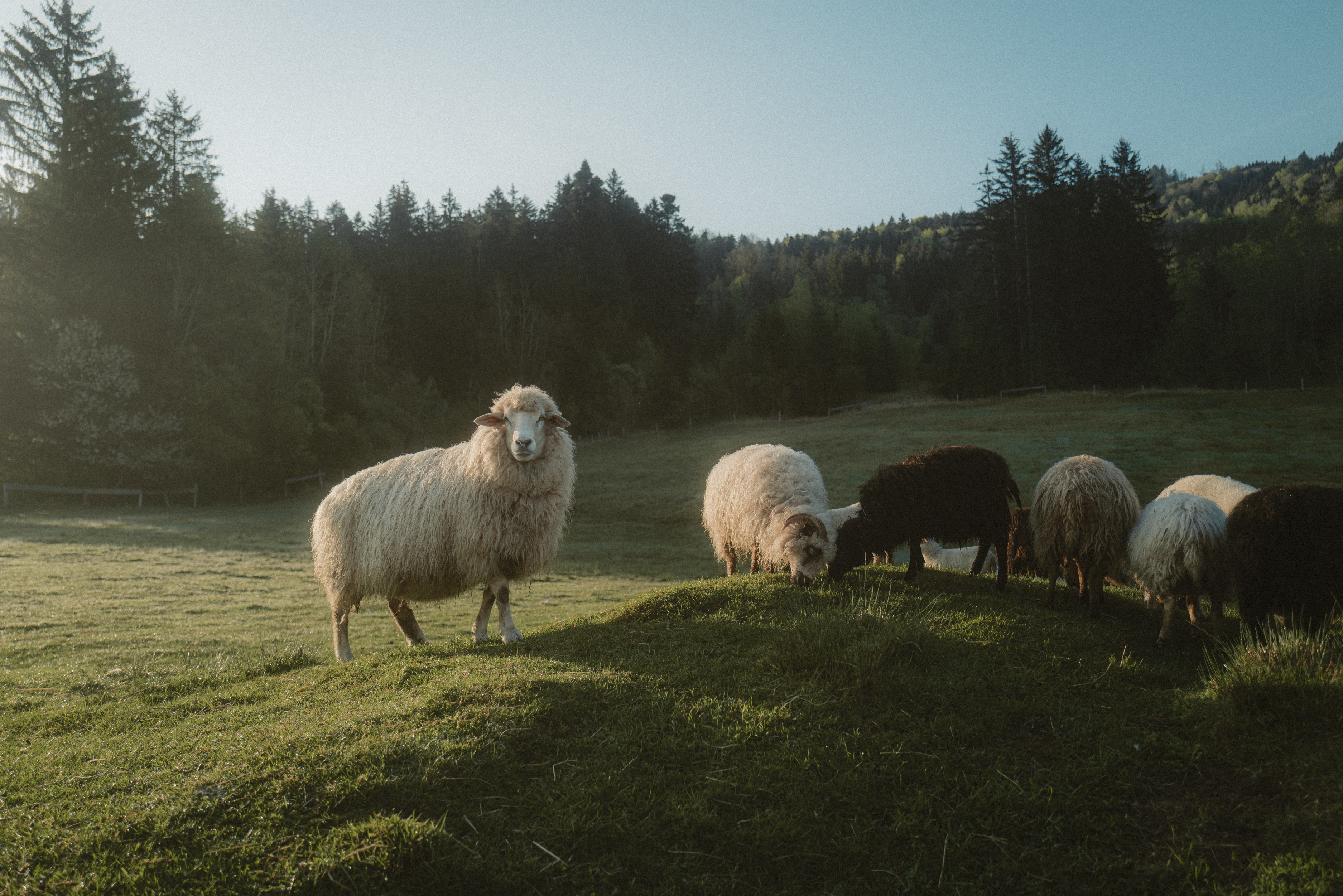 292_INSULATION-Schfer_WS2526_Lenggries_ChristofWolf_HiRes 292_INSULATION-Schfer_WS2526_Lenggries_ChristofWolf_HiRes