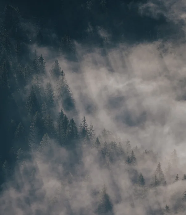 250319_LP_S25_OneSeason_Designstory3_880x1000_CWI@2x