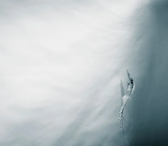 Ice, Outdoors, Nature