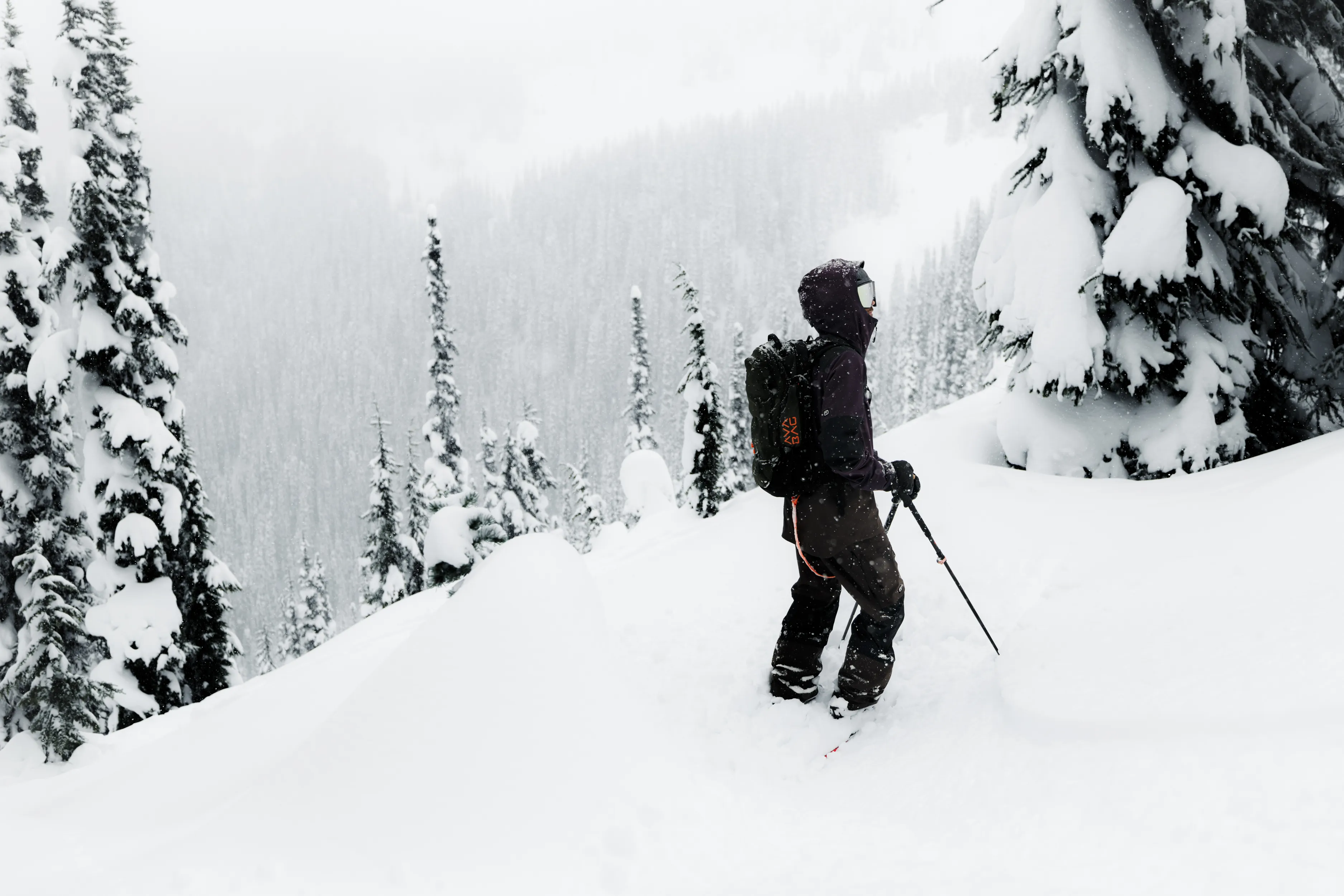 Glove, Tree, Nature, Outdoors, Piste